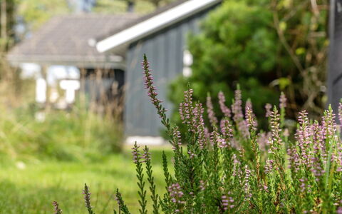 Grimi - 4Km from the Sea: Chalet, Domicile, Maison, Toit, Porche, Biens, Siding, Batiments Jardin, Ferme, Cour