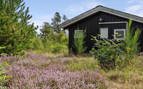 Asmo - 350M from the Sea: Bleu, Arbuste, Chalet, Couverture De Sol, Jardin, Biens, Ombre, Aménagement Paysager, Ferme, Eco Hôtel