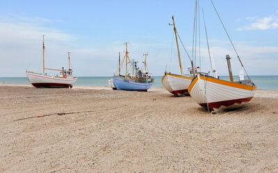 Momme - 500M from the Sea