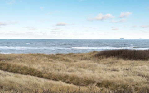 Skade - 75M from the Sea: Maison, Domicile, Porte, Toit, Chalet, Biens, Jardin, Ombre, Siding, Cour