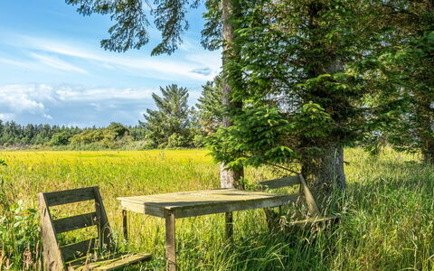 Engelina - 1.3Km from the Sea: Herbe, Maison, Toit, Domicile, Chalet, Arbuste, Lot Terre, Zone Rurale, Ferme, Couverture De Sol