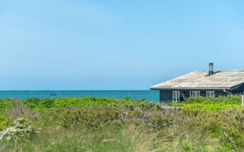 Hubert - 150M from the Sea: Bleu, Écorégion, Mer, Lot Terre, Océan, Chalet, Côte, Prairie, Rive, Cabanon