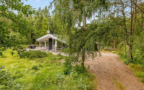 Ran - 600M from the Sea: Arbre, Branche, Végétation, Arbuste, Printemps, Des Bois, Tronc, Jardin, Piste, Batiments Jardin