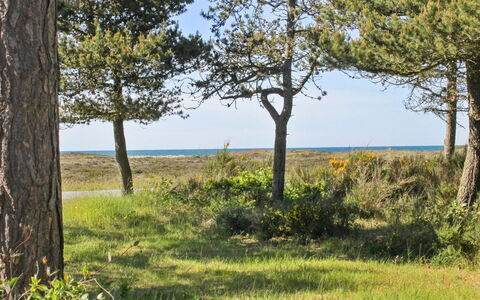 Hatem - 200M from the Sea: Bois, Domicile, Porche, Plate-Forme, Dur, Toit, Tache De Bois, Parquet, Eco Hôtel