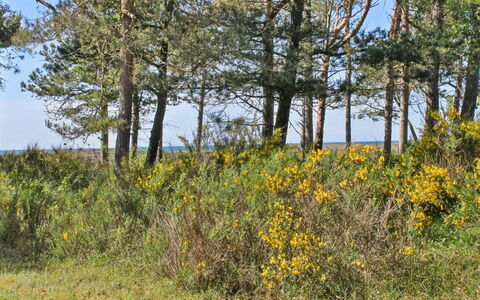 Hatem - 200M from the Sea: Bois, Domicile, Porche, Plate-Forme, Dur, Toit, Tache De Bois, Parquet, Eco Hôtel