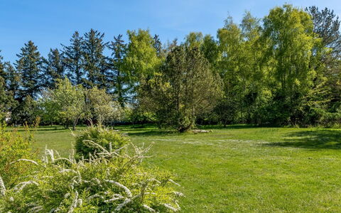 Ognen - 1.5Km from the Sea: Piscine, Mobilier De Jardin, Meubles, Recours, Dalle, Eco Hôtel, Ombre, Chaise, Loisir, Biens