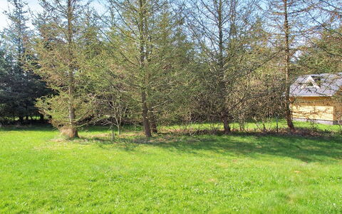 Eljena - 600M from the Sea: Arbre, Feuille, Mélèze, Suppression Des Plantes Ligneuses, Prairie, Pâturage, Des Bois, Pelouse