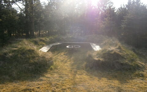 Dorith - 400M from the Sea: Herbe, Sol, Ombre