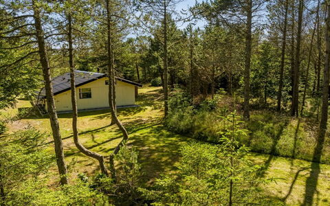 Hakan - 4Km from the Sea: Bleu, Arbuste, Chalet, Couverture De Sol, Jardin, Biens, Ombre, Aménagement Paysager, Ferme, Eco Hôtel