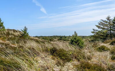 Thorkil - 800M from the Sea