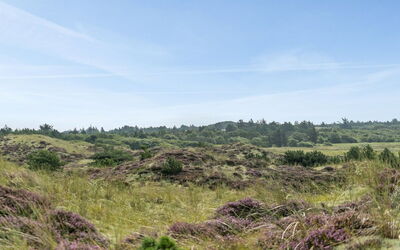Thorkil - 800M from the Sea