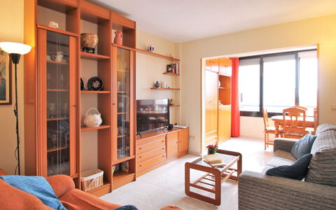 San Francisco: Ciel, Bâtiment, Fenêtre, Arbre, Plante, Maison, Lot Terre, Chalet, Bois, Siding