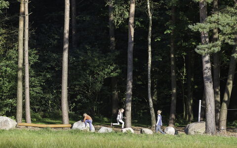 Het Landhuis: Plante, Paysage Naturel, Arbre, Végétation, Bois, Lumière Du Soleil, Tronc, Terrestre Des Plantes, Herbe