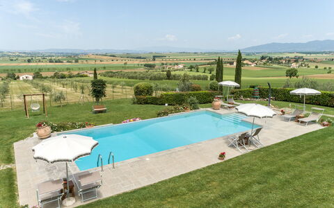 Villa Dei Ciliegi: Ciel, Nuage, Propriété, L'Eau, Piscine, Plante, Ombre, Lot Terre, Mobilier De Jardin, Arbre