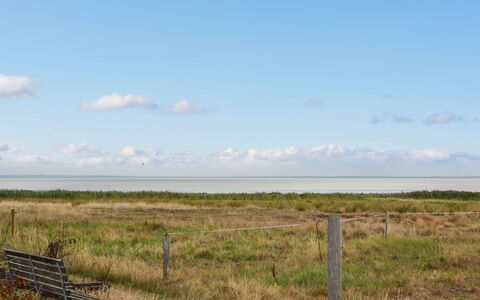 Baltser - 5Km from the Sea: Bleu, Arbuste, Chalet, Couverture De Sol, Jardin, Biens, Ombre, Aménagement Paysager, Ferme, Eco Hôtel