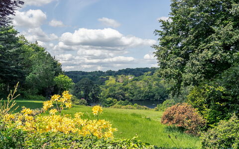 Penguilly: Ciel, Nuage, Plante, Communauté Des Plantes, Fleur, Écorégion, Paysage Naturel, Arbre, Végétation