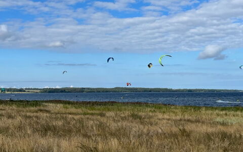 Ilene - 1Km from the Sea: Maison, Domicile, Toit, Chalet, Biens, Aménagement Paysager, Batiments Jardin, Siding, Ferme