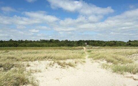 Hughe - 300M from the Sea: Maison, Chalet, Toit, Batiments Jardin, Ombre, Cabanon, Arrière-Cour, Mobilier De Jardin, Cour, Pelouse