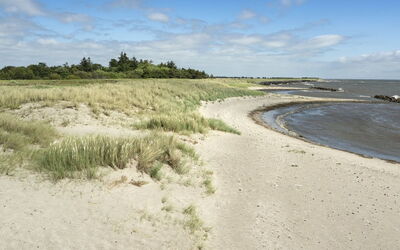 Lottje - 300M from the Sea