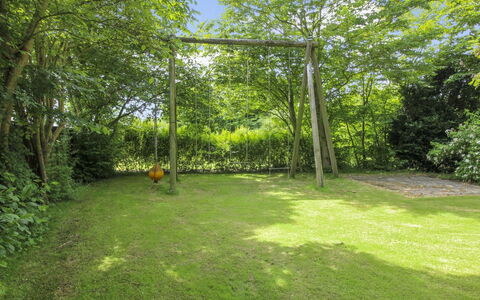 Claudia: Herbe, Vert, Feuille, Jardin, Arbuste, Lot Terre, Ombre, Couverture De Sol, Pelouse