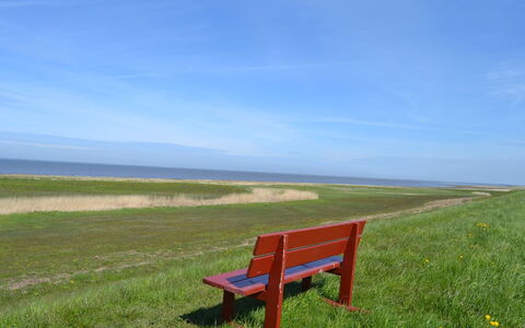 Adine - 13Km from the Sea: Bleu, Arbuste, Chalet, Couverture De Sol, Jardin, Biens, Ombre, Aménagement Paysager, Ferme, Eco Hôtel