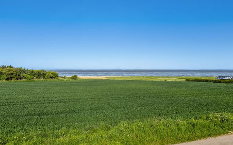 Kielo - 10Km from the Sea: Bleu, Arbuste, Chalet, Couverture De Sol, Jardin, Biens, Ombre, Aménagement Paysager, Ferme, Eco Hôtel