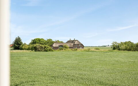 Iina - 13Km from the Sea: Bleu, Arbuste, Chalet, Couverture De Sol, Jardin, Biens, Ombre, Aménagement Paysager, Ferme, Eco Hôtel
