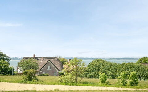 Iina - 13Km from the Sea: Vert, Herbe, Paysage Naturel, Paysage, Lot Terre, Zone Rurale, Chalet, Prairie, Pelouse