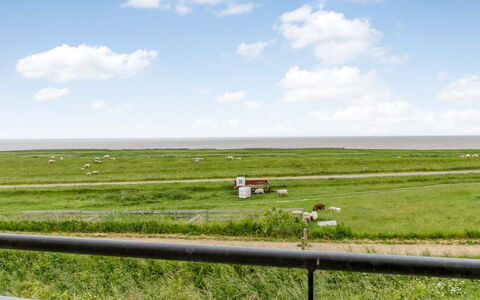 Anthonie: Herbe, Prairie, Paysage, Écorégion, Plaine, Communauté Des Plantes, Lot Terre, Mobilier De Jardin, Prairie, Formations Arbustives