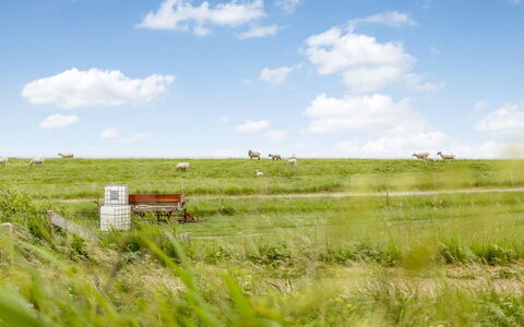 Anthonie: Herbe, Prairie, Paysage, Écorégion, Plaine, Communauté Des Plantes, Lot Terre, Mobilier De Jardin, Prairie, Formations Arbustives