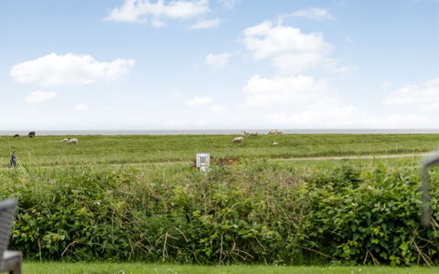 Anthonie: Herbe, Prairie, Paysage, Écorégion, Plaine, Communauté Des Plantes, Lot Terre, Mobilier De Jardin, Prairie, Formations Arbustives
