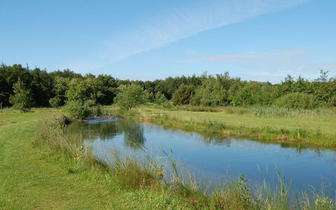 Jani - 25Km from the Sea: L'Eau, Plan D'Eau, Ressources En Eau, Environnement Naturel, Le Marais, Prairie, Paysage Naturel, Cours D'Eau, Banque