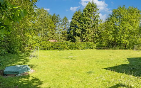 Frederica - 30Km from the Sea: Herbe, Arbre, Arbuste, Prairie, Lot Terre, Plaine, Jardin, Pelouse, Prairie