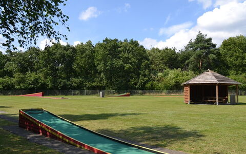 Swenki - 29Km from the Sea: Herbe, Espace Public, Pelouse, Jardin, Ombre, Parc, Gazon Artificiel, Aménagement Paysager, Cour