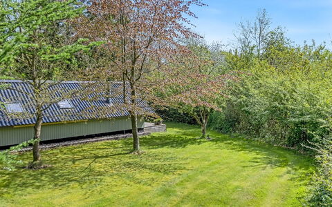 Hilla - 31Km from the Sea: Herbe, Arbuste, Jardin, Lot Terre, Couverture De Sol, Pelouse, Printemps, Arrière-Cour, Chalet