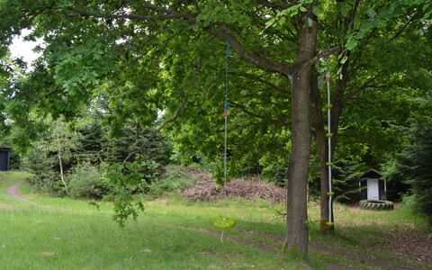 Josina - 32Km from the Sea: Feuille, Arbre, Branche, Tronc, Réserve Naturelle, Suppression Des Plantes Ligneuses, Pelouse, Jardin, Des Bois, Ombre