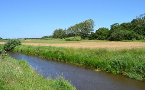Ahvo - 22Km from the Sea: Ressources En Eau, Plan D'Eau, Herbe, Environnement Naturel, Paysage Naturel, Voie Navigable, Cours D'Eau, Le Marais, Banque