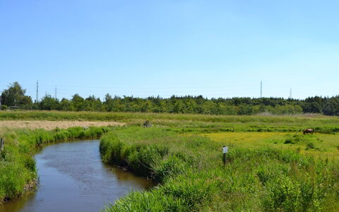 Ahvo - 22Km from the Sea: Ciel, Ressources En Eau, Le Marais, Environnement Naturel, Paysage Naturel, Prairie, Cours D'Eau, Plaine