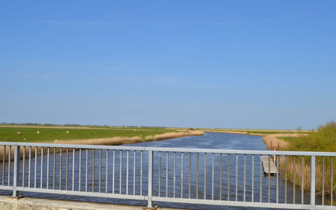 Inda - 10Km from the Sea: Herbe, Maison, Toit, Domicile, Chalet, Arbuste, Lot Terre, Zone Rurale, Ferme, Couverture De Sol
