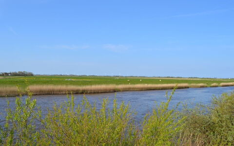 Inda - 10Km from the Sea: Herbe, Maison, Toit, Domicile, Chalet, Arbuste, Lot Terre, Zone Rurale, Ferme, Couverture De Sol