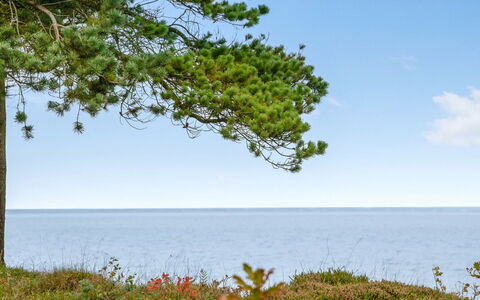 Ingeborg - 100M to the Fjord: Toit, Maison, Domicile, Chalet, Siding, Biens, Allée, Batiments Jardin, Cour, Cabanon