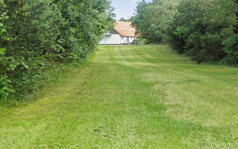 Beatha - 25Km to the Fjord: Herbe, Arbre, Prairie, Arbuste, Lot Terre, Pelouse, Couverture De Sol, Prairie