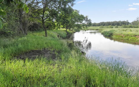 Beatha - 25Km to the Fjord: Ciel, Ressources En Eau, L'Eau, Plan D'Eau, Herbe, Paysage Naturel, Environnement Naturel, Le Marais, La Nature, Vert