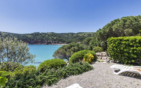 Port del Rei Ii: L'Eau, Ciel, Plante, Propriété, La Nature, Paysage Naturel, Lac, Arbre, Paysage, Immobilier