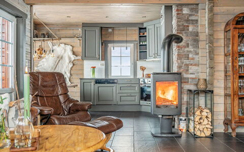Saanaloma: Bois, Meubles, Domicile, Foyer, Poêle À Bois, Salon, Chaise, Dur, Tache De Bois, Luminaire
