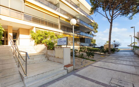 Txingudi: Bâtiment, Jour, Ciel, Plante, Arbre, Arecales, Clôture, Terrestre Des Plantes, Design Urbain, Suppression Des Plantes Ligneuses