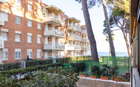 Txingudi: Bâtiment, Jour, Ciel, Plante, Arbre, Arecales, Clôture, Terrestre Des Plantes, Design Urbain, Suppression Des Plantes Ligneuses