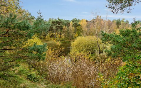 Menke - 150M from the Sea: Toit, Maison, Lot Terre, Domicile, Chalet, Biens, Batiments Jardin, Ombre, Cabane En Rondins, Aménagement Paysager