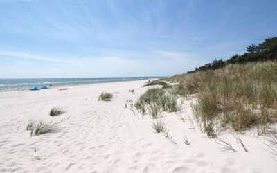 Menke - 150M from the Sea