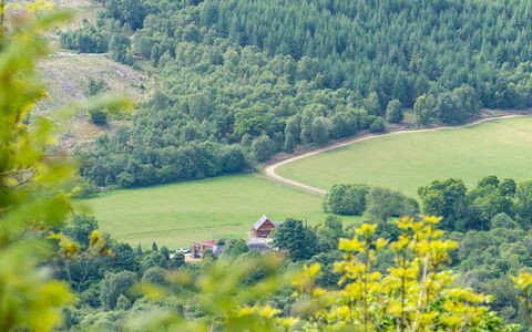 Drumnadrochit 121: Plante, Arbre, Paysage Naturel, Lot Terre, Fleur, Biome, Pente, Montagnes Relief, Plaine